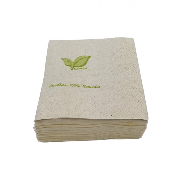 SERVILLETA ECO 20 X 20